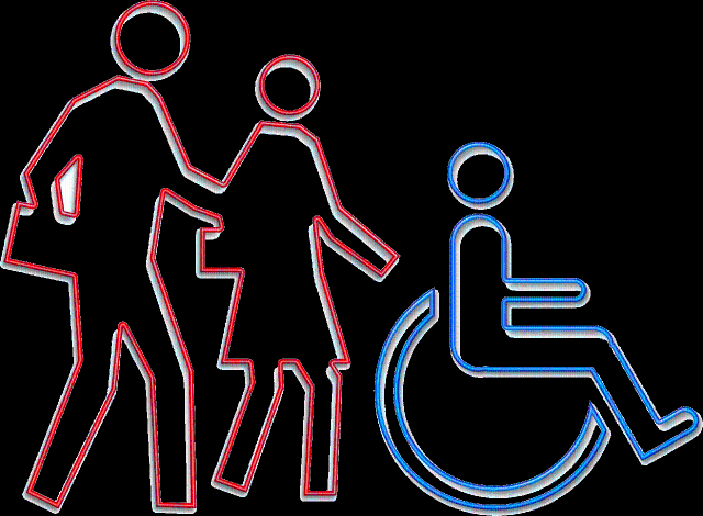 Censimento persone in condizione di disabilità grave