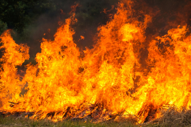 Elenco delle ditte catastali dei terreni delle aree percorse dal fuoco